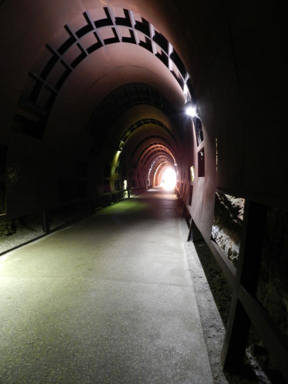 Park Hotel Albisola Superiore Bagian luar foto